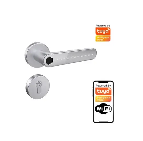 Klamka elektroniczna Smart-Lock N33B-S Tuya
